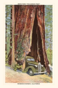portada The Vintage Journal Car Driving through Redwood, California (en Inglés)