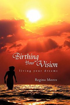 portada birthing your vision (en Inglés)