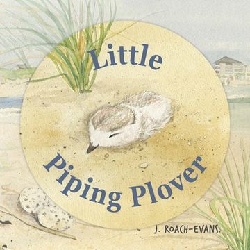 portada Little Piping Plover (en Inglés)
