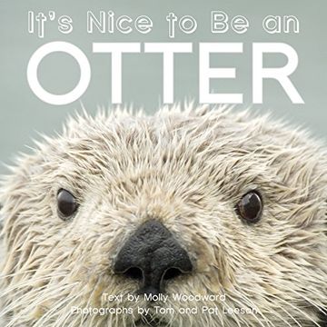 portada It's Nice to be an Otter 