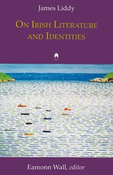 portada On Irish Literature and Identities (en Inglés)