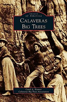 portada Calaveras Big Trees (in English)