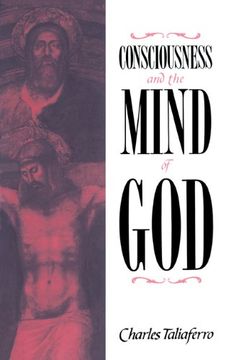 portada Consciousness and the Mind of god (en Inglés)