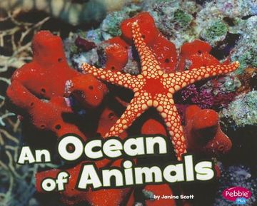 portada an ocean of animals