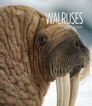 portada Walruses (Living Wild (Paperback))
