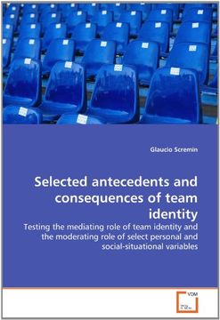 selected antecedents and consequences of team identity (en Inglés)