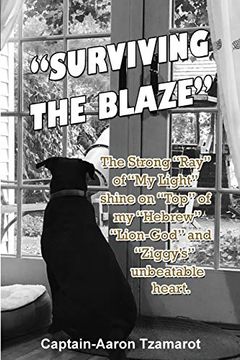 portada "Surviving the Blaze": The Strong "Ray" of "my Light" Shine on "Top" of my "Hebrew" "Lion-God" and "Ziggy's" Unbeatable Heart. (en Inglés)