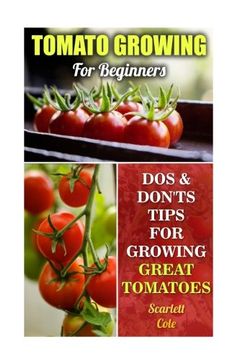 portada Tomato Growing For Beginners: Dos & Don'ts Tips For Growing Great Tomatoes