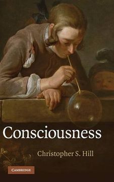 portada Consciousness (in English)