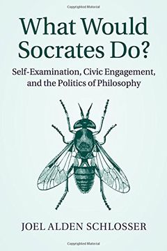 portada What Would Socrates Do? Self-Examination, Civic Engagement, and the Politics of Philosophy (en Inglés)