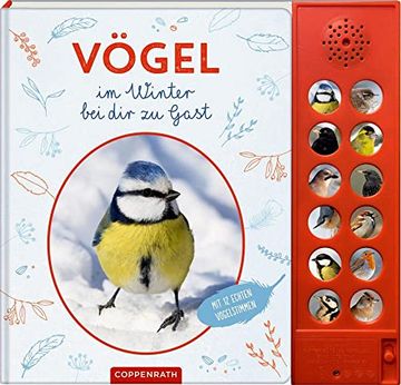 portada Vögel im Winter bei dir zu Gast: Mit 12 Echten Vogelstimmen (en Alemán)