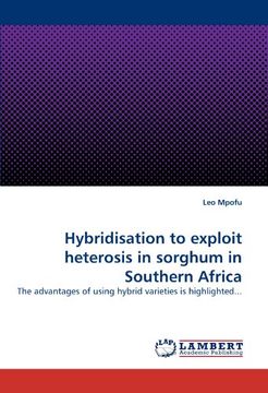 portada hybridisation to exploit heterosis in sorghum in southern africa
