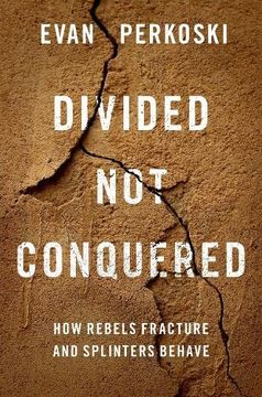 portada Divided not Conquered: How Rebels Fracture and Splinters Behave (en Inglés)