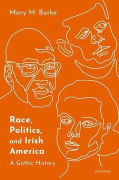 portada Race, Politics, and Irish America: A Gothic History (en Inglés)