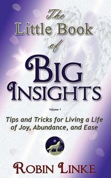 portada the little book of big insights volume i (en Inglés)