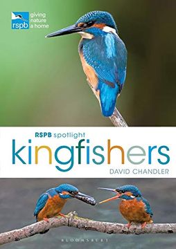 portada Rspb Spotlight Kingfishers (in English)