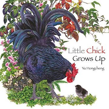 portada Little Chick Grows up (in English)