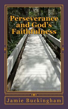 portada Perseverance and God's Faithfulness (en Inglés)