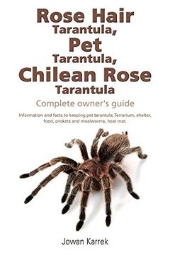 portada Rose Hair Tarantula, pet Tarantula, Chilean Rose Tarantula: Complete Owner's Guide (en Inglés)