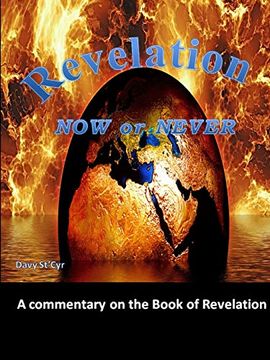 portada Revelation now or Never (in English)