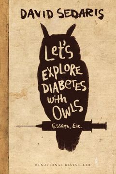 portada Let s Explore Diabetes With Owls (in English)