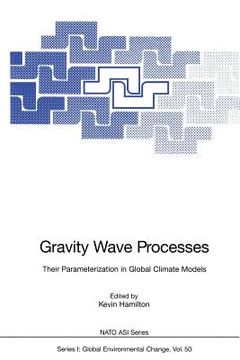 portada gravity wave processes: their parameterization in global climate models (en Inglés)