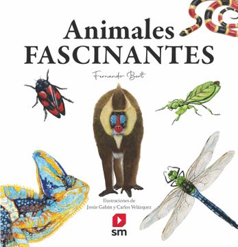 portada Animales Fascinantes (in Spanish)