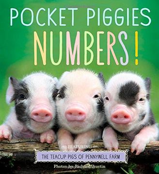 portada Pocket Piggies: Counting Book (in English)