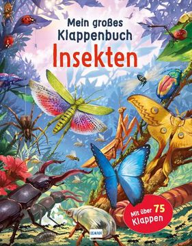 portada Mein Großes Klappenbuch - Insekten (en Alemán)