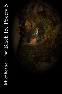 portada Black Ice Poetry 5 (Volume 5)