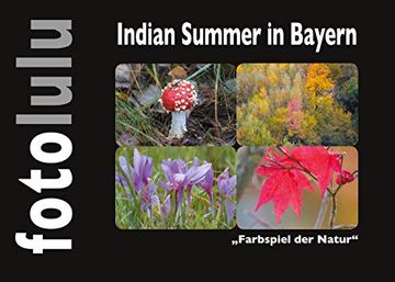portada Indian Summer in Bayern: "Farbspiel der Natur" (en Alemán)
