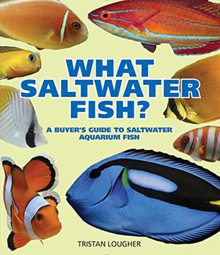 portada What Saltwater Fish? A Buyer's Guide to Saltwater Aquarium Fish (en Inglés)