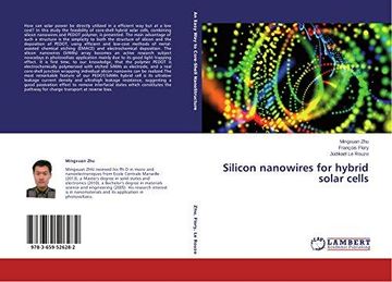 portada Silicon nanowires for hybrid solar cells (en Inglés)