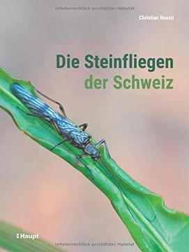 portada Die Steinfliegen der Schweiz (en Alemán)
