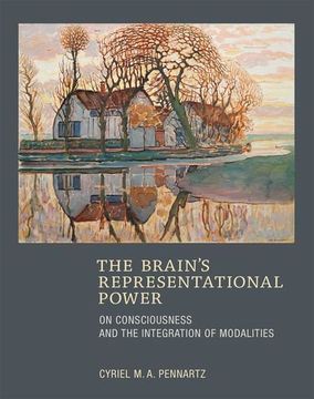 portada The Brain s Representational Power: On Consciousness And The Integration Of Modalities (en Inglés)