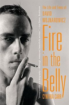 portada Fire in the Belly: The Life and Times of David Wojnarowicz 