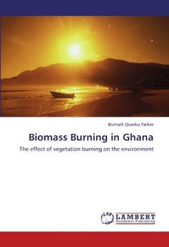 portada biomass burning in ghana (en Inglés)