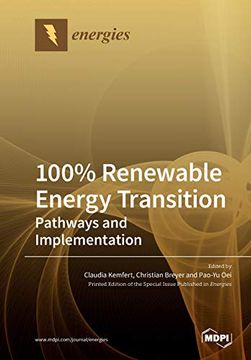 portada 100% Renewable Energy Transition: Pathways and Implementation (en Inglés)