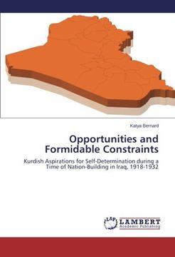 portada Opportunities and Formidable Constraints