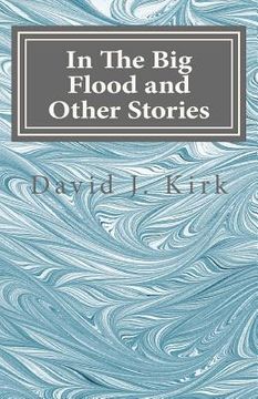 portada In The Big Flood and Other Stories
