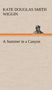 portada a summer in a canyon