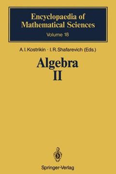 portada algebra ii: noncommutative rings identities (en Inglés)