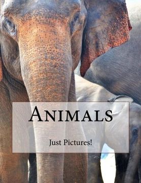 portada Animals