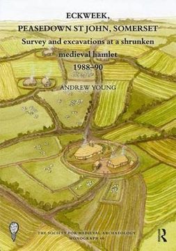 portada Eckweek, Peasedown st John, Somerset: Survey and Excavations at a Shrunken Medieval Hamlet 1988–90 (The Society for Medieval Archaeology Monographs) (en Inglés)