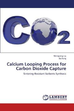 portada Calcium Looping Process for Carbon Dioxide Capture