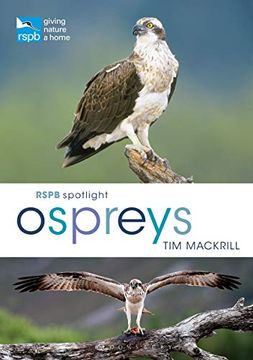portada Rspb Spotlight Osprey (in English)