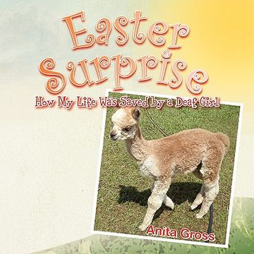 portada easter surprise (in English)