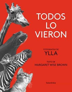 portada Todos Lo Vieron (in Spanish)