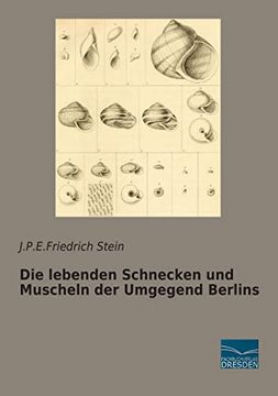 portada Die Lebenden Schnecken und Muscheln der Umgegend Berlins (en Alemán)