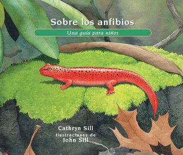 portada Sobre Los Anfibios: Una Guía Para Niños